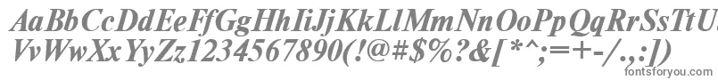 TimesdlBoldItalic Font – Gray Fonts on White Background