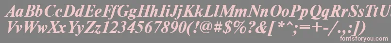 フォントTimesdlBoldItalic – 灰色の背景にピンクのフォント