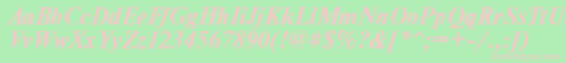 TimesdlBoldItalic Font – Pink Fonts on Green Background