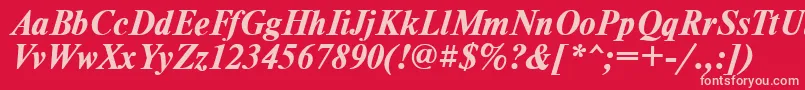フォントTimesdlBoldItalic – 赤い背景にピンクのフォント