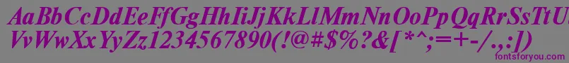 TimesdlBoldItalic-Schriftart – Violette Schriften auf grauem Hintergrund