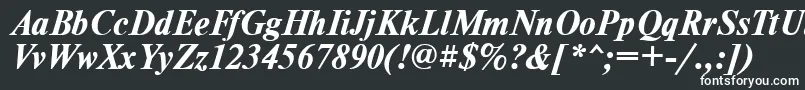 フォントTimesdlBoldItalic – 黒い背景に白い文字