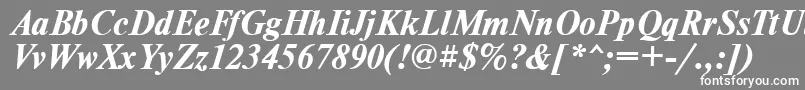 TimesdlBoldItalic-Schriftart – Weiße Schriften auf grauem Hintergrund