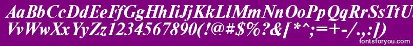 TimesdlBoldItalic Font – White Fonts on Purple Background