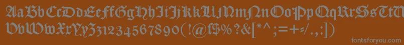 フォントDscaslongotischosf – 茶色の背景に灰色の文字