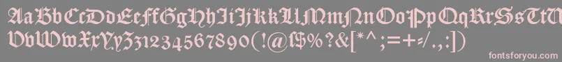 Dscaslongotischosf Font – Pink Fonts on Gray Background