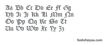 Обзор шрифта Dscaslongotischosf