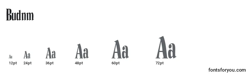 Budnm Font Sizes