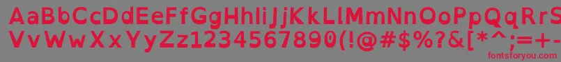 OpendyslexicBold Font – Red Fonts on Gray Background