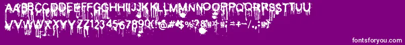 Cold Font – White Fonts on Purple Background