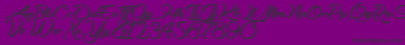 OptimalSolutions-Schriftart – Schwarze Schriften auf violettem Hintergrund