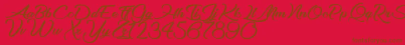 OptimalSolutions Font – Brown Fonts on Red Background