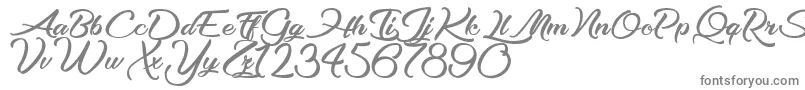 OptimalSolutions-fontti – harmaat kirjasimet valkoisella taustalla