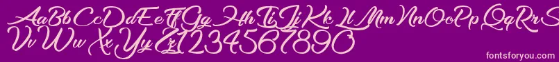 OptimalSolutions Font – Pink Fonts on Purple Background