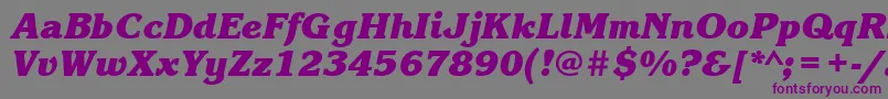 KorinnablackcttBolditalic Font – Purple Fonts on Gray Background