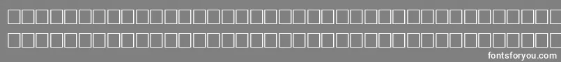 EnlivenRegular Font – White Fonts on Gray Background