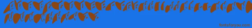 Typoshadows Font – Brown Fonts on Blue Background