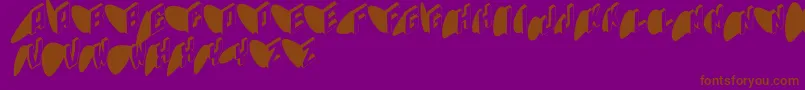 Typoshadows Font – Brown Fonts on Purple Background