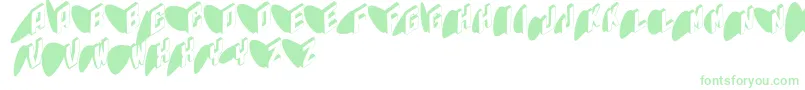 Typoshadows Font – Green Fonts on White Background