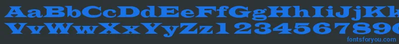 EvitaRegular Font – Blue Fonts on Black Background