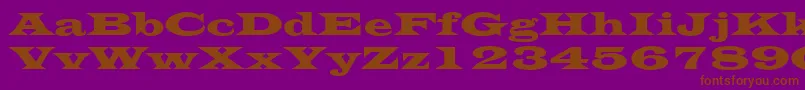 EvitaRegular Font – Brown Fonts on Purple Background