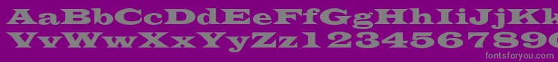 EvitaRegular Font – Gray Fonts on Purple Background