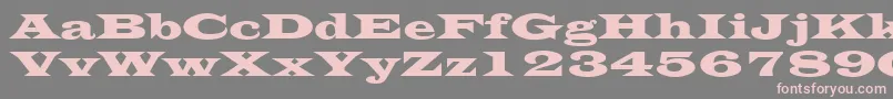 EvitaRegular Font – Pink Fonts on Gray Background