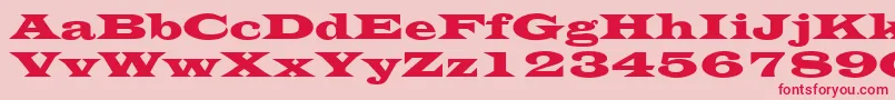 EvitaRegular Font – Red Fonts on Pink Background