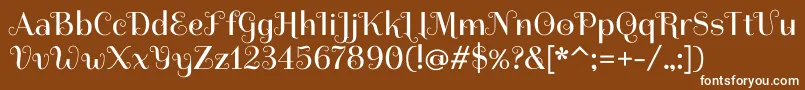 SpiraxRegular Font – White Fonts on Brown Background