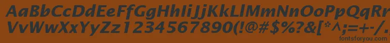 フォントInsightSansSsiBoldItalic – 黒い文字が茶色の背景にあります