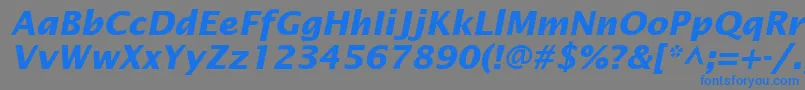 InsightSansSsiBoldItalic Font – Blue Fonts on Gray Background