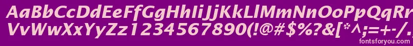 InsightSansSsiBoldItalic Font – Pink Fonts on Purple Background