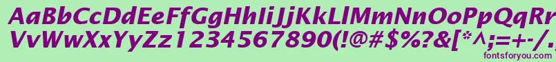 InsightSansSsiBoldItalic Font – Purple Fonts on Green Background