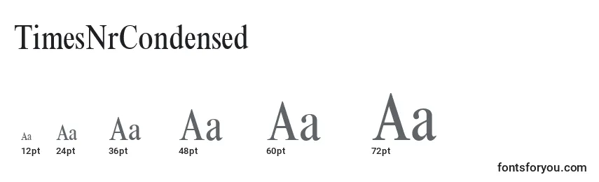 TimesNrCondensed Font Sizes