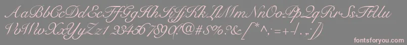 Tangoscriptssk Font – Pink Fonts on Gray Background