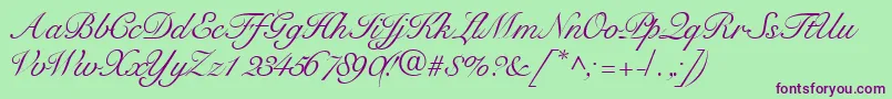 Tangoscriptssk Font – Purple Fonts on Green Background
