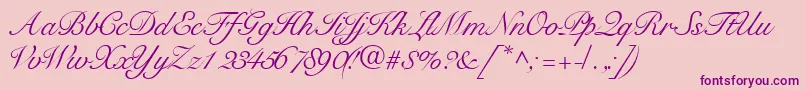 Tangoscriptssk Font – Purple Fonts on Pink Background