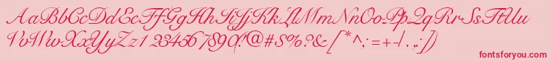 Tangoscriptssk Font – Red Fonts on Pink Background