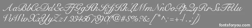 Tangoscriptssk Font – White Fonts on Gray Background