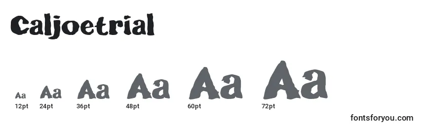 Размеры шрифта Caljoetrial