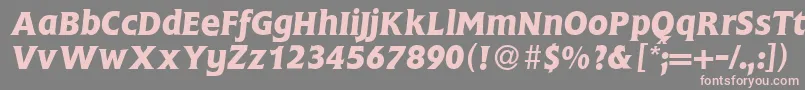 FlemingBolditalic Font – Pink Fonts on Gray Background