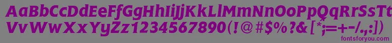 FlemingBolditalic Font – Purple Fonts on Gray Background