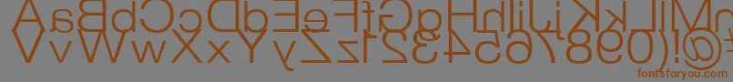 StraitKcab Font – Brown Fonts on Gray Background