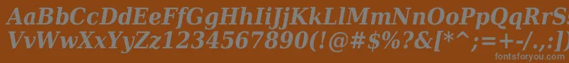 Шрифт DejavuSerifCondensedBoldItalic – серые шрифты на коричневом фоне