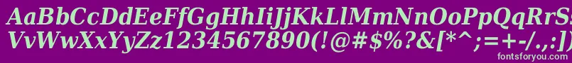 DejavuSerifCondensedBoldItalic Font – Green Fonts on Purple Background