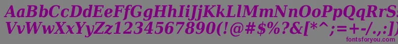 DejavuSerifCondensedBoldItalic Font – Purple Fonts on Gray Background