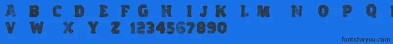 Variations Font – Black Fonts on Blue Background