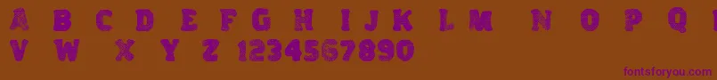 Variations Font – Purple Fonts on Brown Background