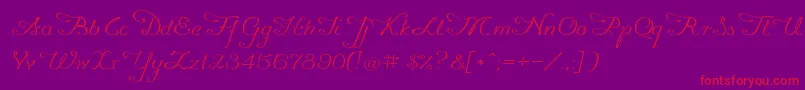 Promocyja096-Schriftart – Rote Schriften auf violettem Hintergrund