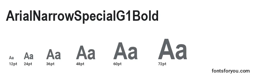ArialNarrowSpecialG1Bold Font Sizes